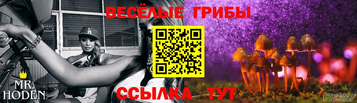 Саратов  Псилоцибиновые грибы Magic Shrooms  Вход с VPN 